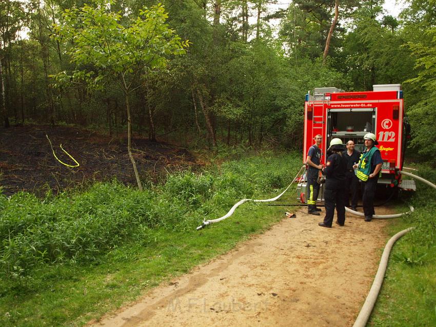 Waldbrand Bergisch Gladbach Bensberg P091.JPG